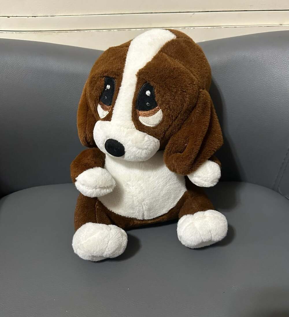 Dan Dee Collector's Choice Sad Sam & Honey Basset Hound Dog Plush Stuffed Animal